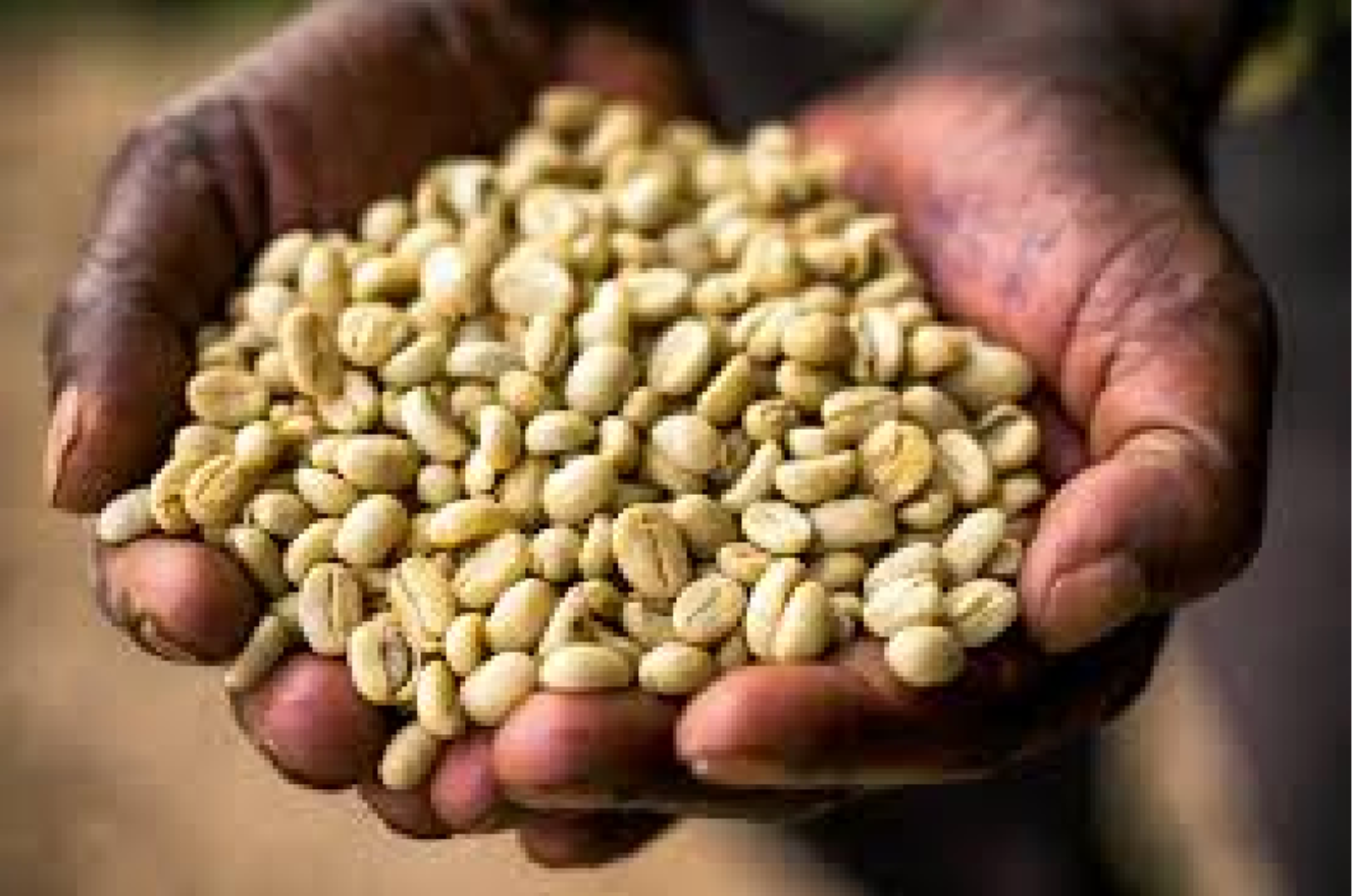 Ethiopia / Yabitu Koba Heirloom 150g