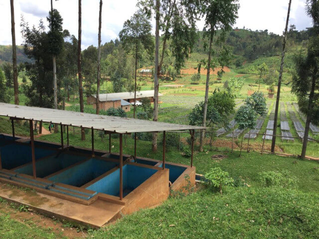 Burundi / Yandaro CWS 150g