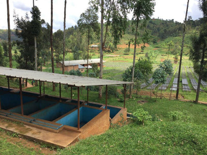 Burundi / Yandaro CWS 150g