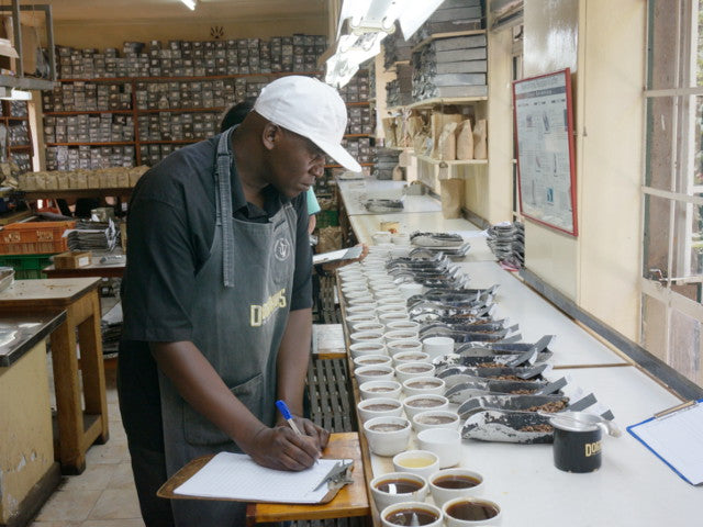 Kenya / Kianyangi AA 150g