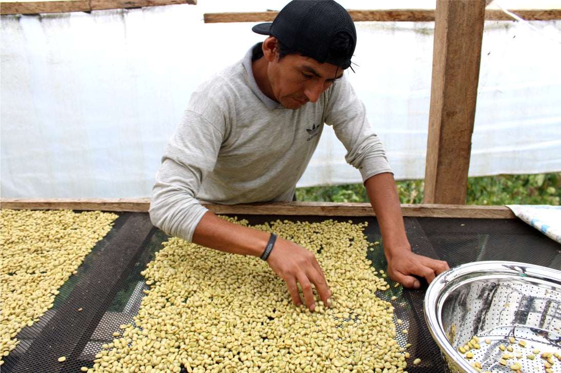 Peru / Juan Jose Huillca Singuna Geisha 100g