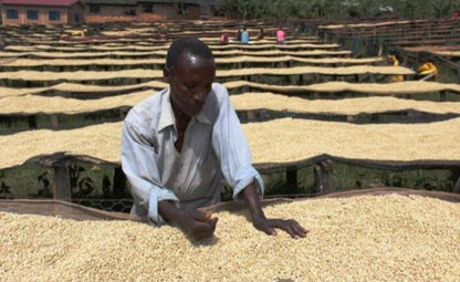 Burundi / Yandaro CWS 150g