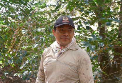 Peru / Dwight Aguilar Masias 150g
