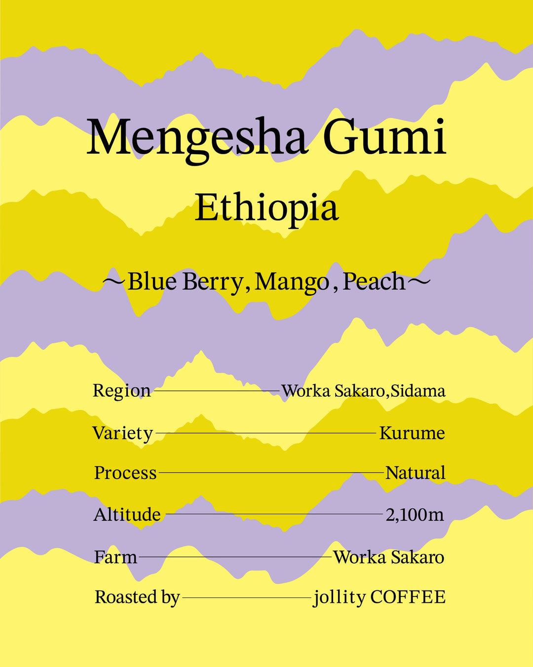 Ethiopia / Mengesha Gumi 150g