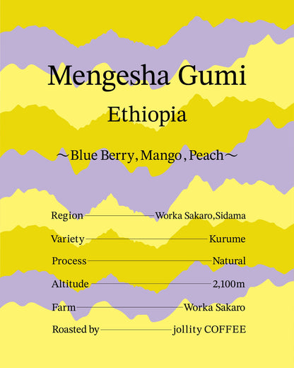 Ethiopia / Mengesha Gumi 150g