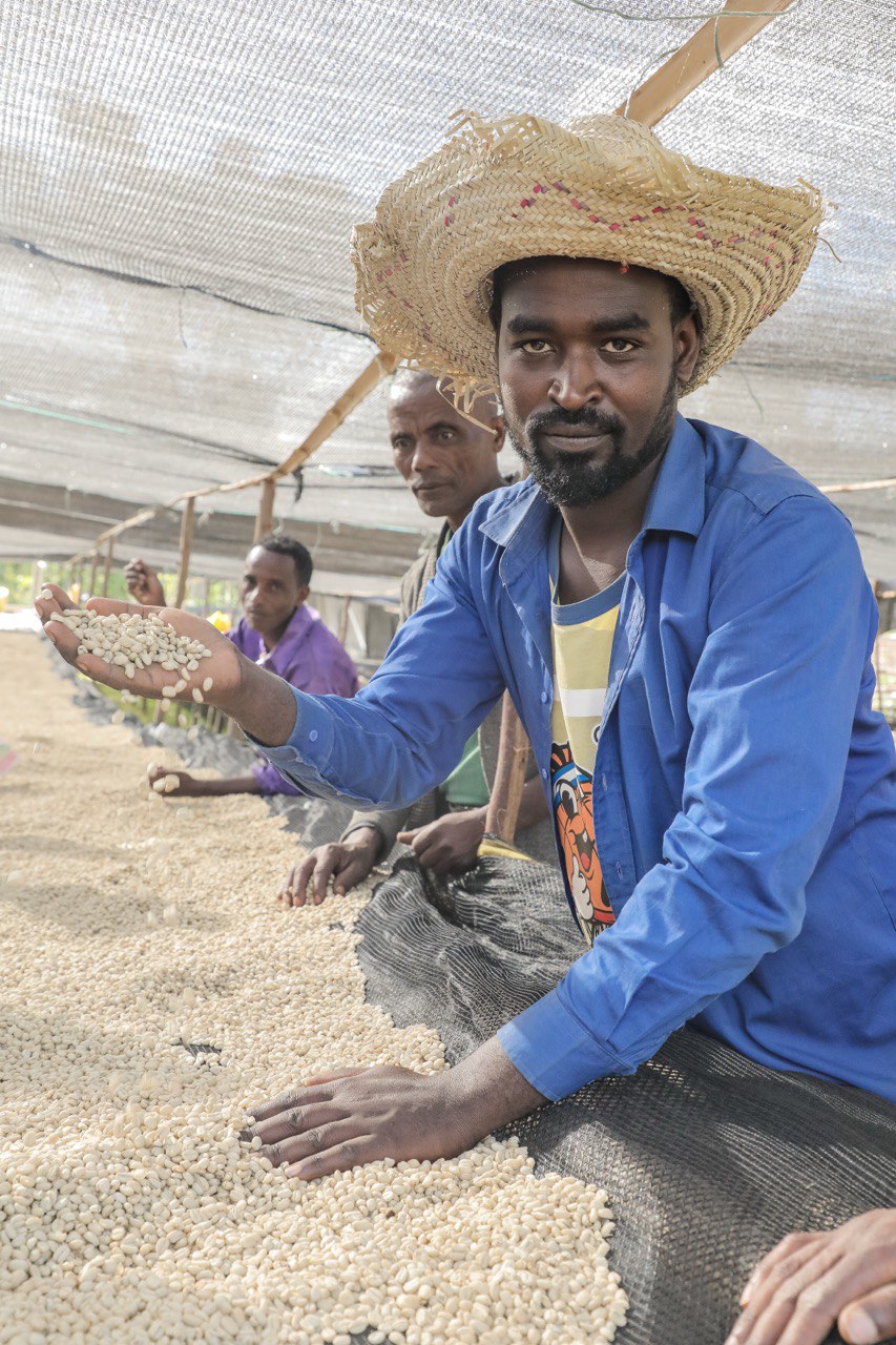 Ethiopia / Mulish mixed Heirloom 150g